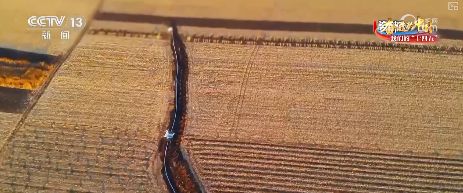 丰收在望！“沃野粮仓”科技“唱主角”知天而作智慧农业跑出“加速度”(图1)