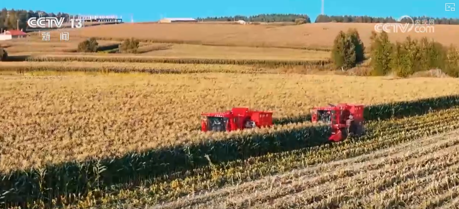 丰收在望！“沃野粮仓”科技“唱主角”知天而作智慧农业跑出“加速度”(图4)