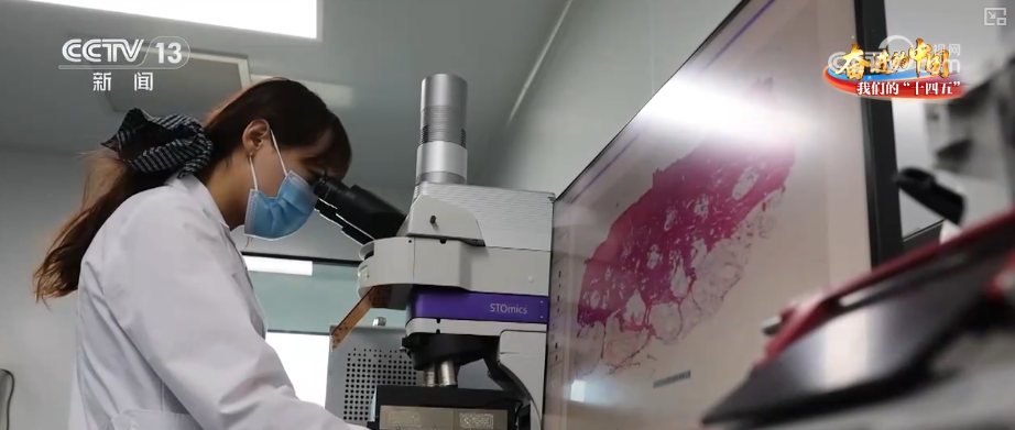 丰收在望！“沃野粮仓”科技“唱主角”知天而作智慧农业跑出“加速度”(图10)