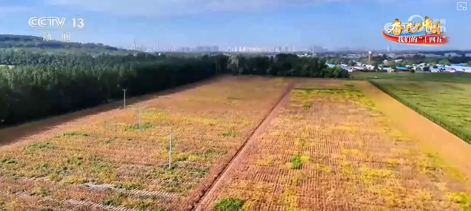 丰收在望！“沃野粮仓”科技“唱主角”知天而作智慧农业跑出“加速度”(图7)