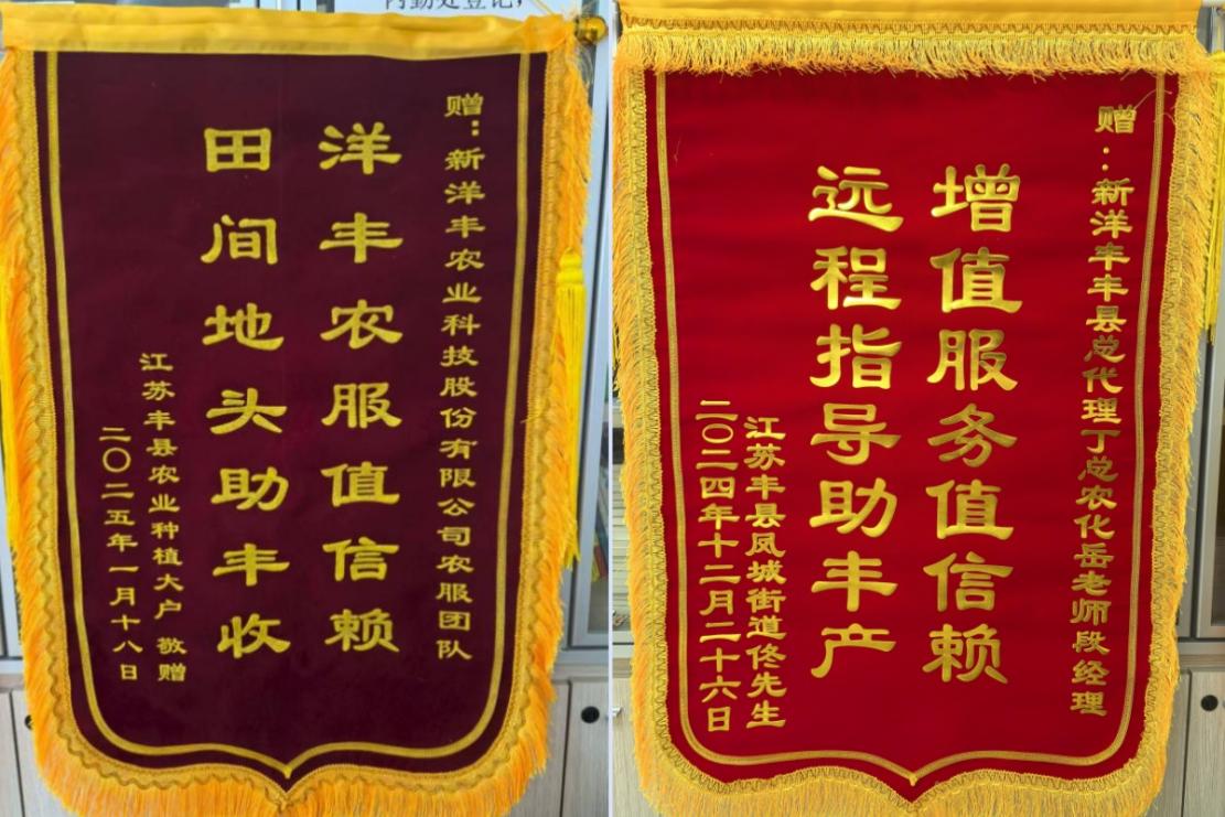 夯实大国粮仓的“营养”基石——解码磷复肥行业龙头新洋丰的硬核服务之道(图2)