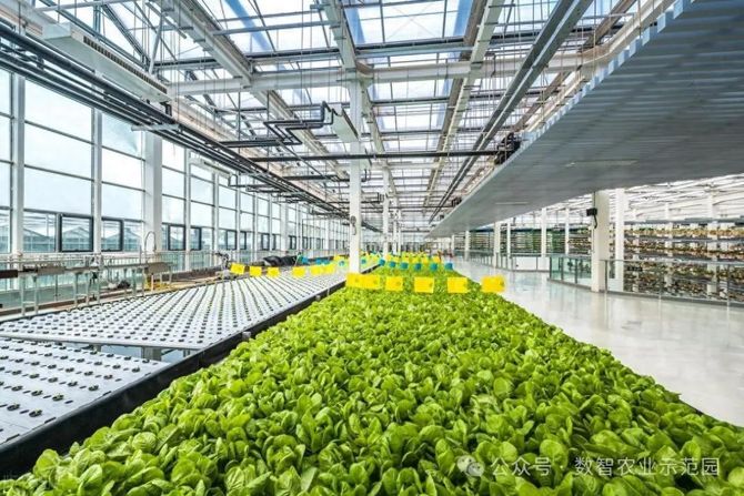 智慧农业:中国农业农村部启动三大行动迈向2028(图1)