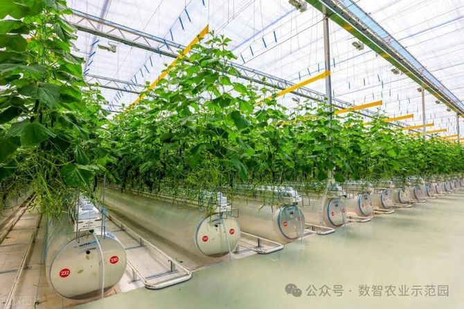 智慧农业:中国农业农村部启动三大行动迈向2028(图2)