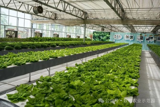 智慧农业:中国农业农村部启动三大行动迈向2028(图4)