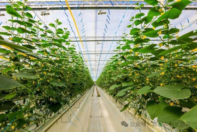 智慧农业:中国农业农村部启动三大行动迈向2028(图6)