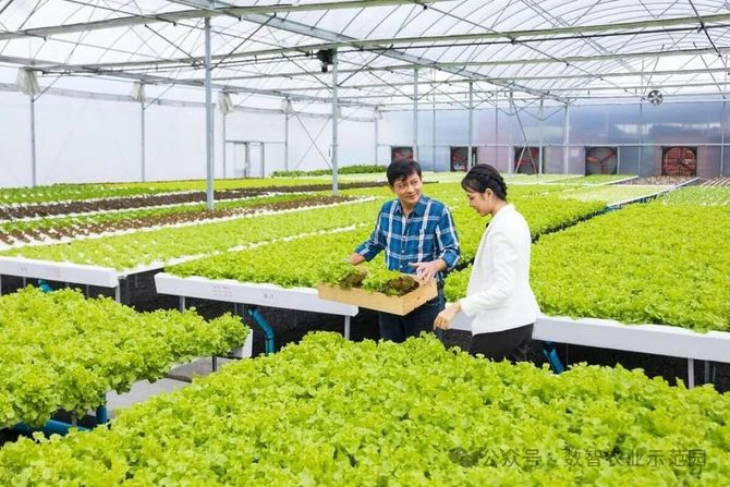 智慧农业:中国农业农村部启动三大行动迈向2028(图7)