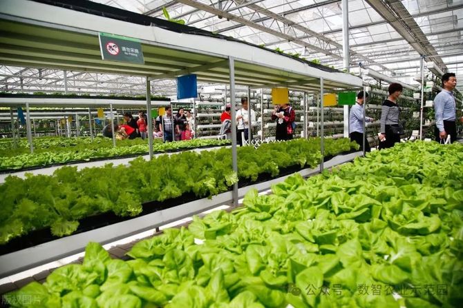 智慧农业:中国农业农村部启动三大行动迈向2028(图11)