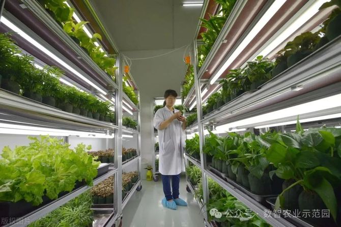 智慧农业:中国农业农村部启动三大行动迈向2028(图14)