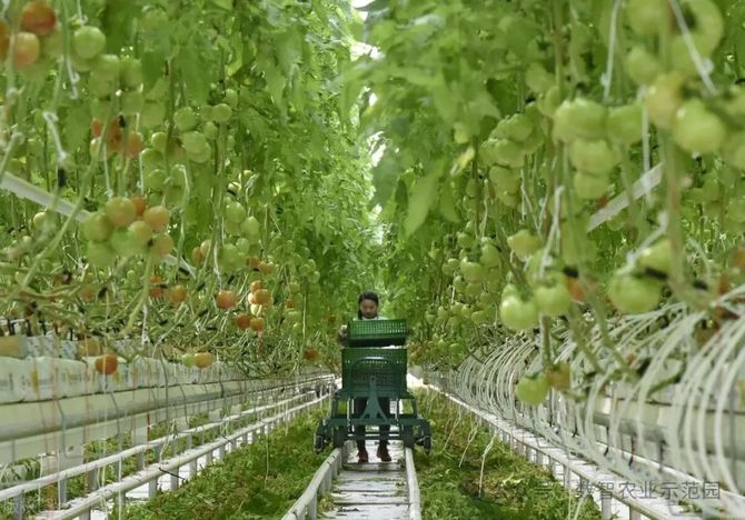 智慧农业:中国农业农村部启动三大行动迈向2028(图15)