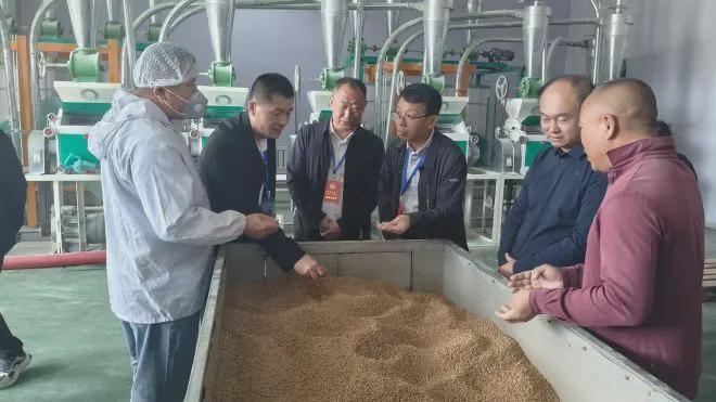 黑龙江省安达市政协开展加强高素质农民培训助推农民增收专题调研(图3)