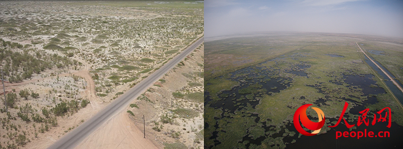 安博体育网站:西北“玉如意”“攒劲”!(图1)