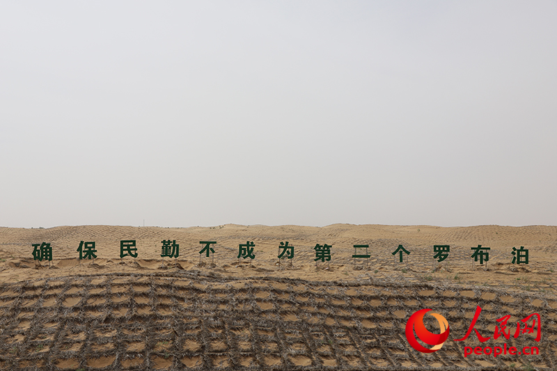 安博体育网站:西北“玉如意”“攒劲”!(图2)