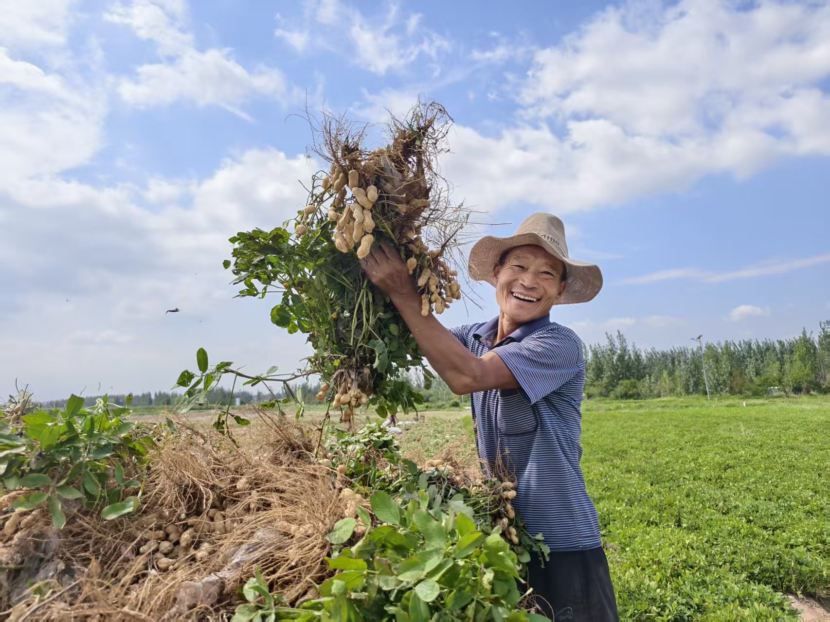 安博体育：丰收的密码--经济·科技--人民网(图2)