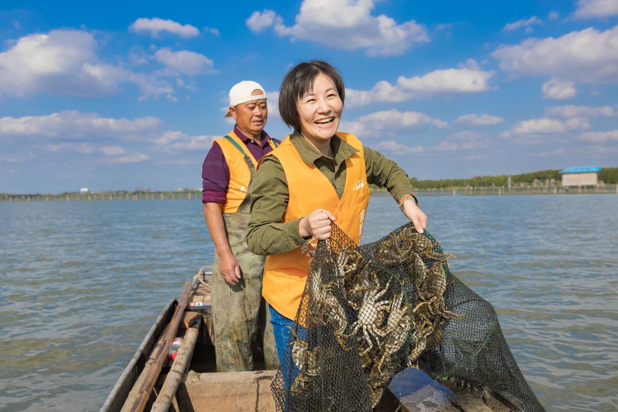 安博体育：常熟沙家浜镇：红绿交融绘就“新”时代(图2)