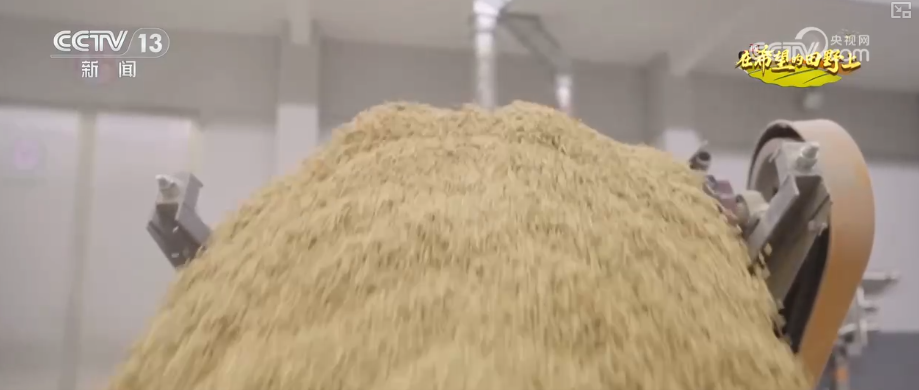 “沃野粮仓”科技大显身手金秋多彩“丰”景有“智”又有“质”(图1)