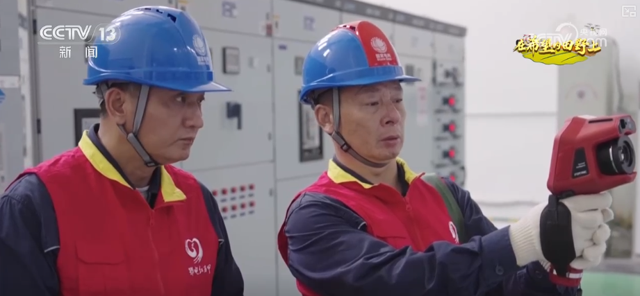 “沃野粮仓”科技大显身手金秋多彩“丰”景有“智”又有“质”(图4)