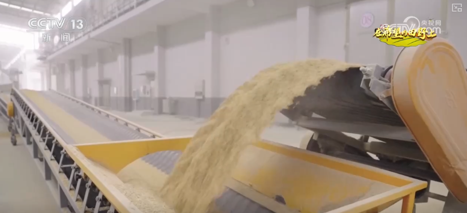 “沃野粮仓”科技大显身手金秋多彩“丰”景有“智”又有“质”(图3)