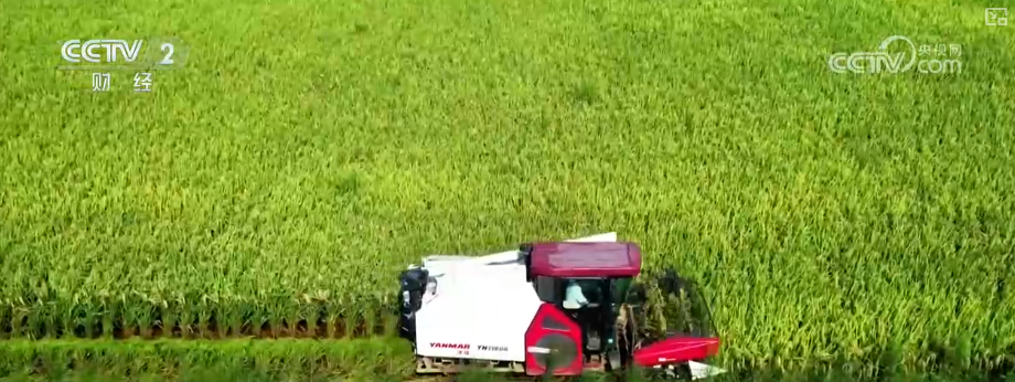 “沃野粮仓”科技大显身手金秋多彩“丰”景有“智”又有“质”(图17)