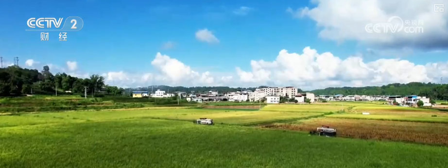 “沃野粮仓”科技大显身手金秋多彩“丰”景有“智”又有“质”(图16)