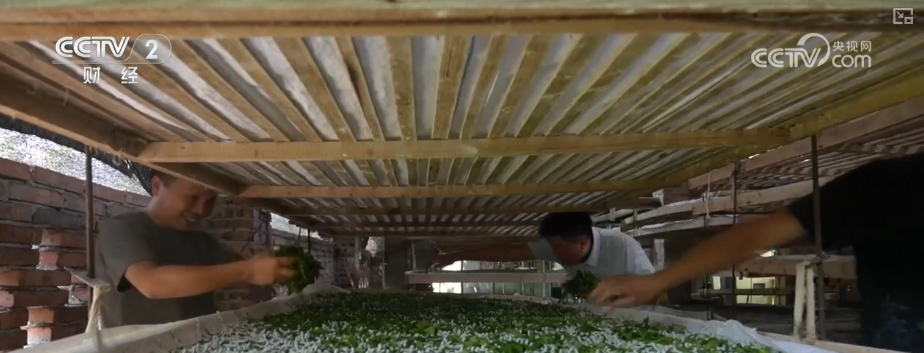 花样拓岗、“真金白银”补贴精细化“实招儿”服务劳动者更好就业(图9)