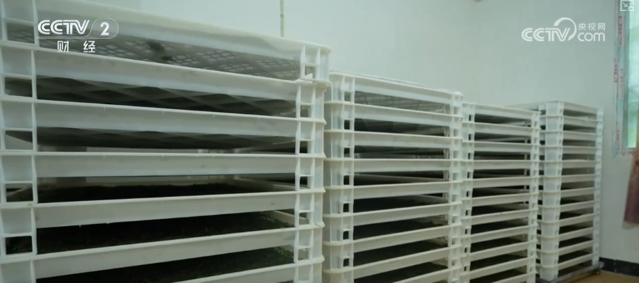 花样拓岗、“真金白银”补贴精细化“实招儿”服务劳动者更好就业(图11)