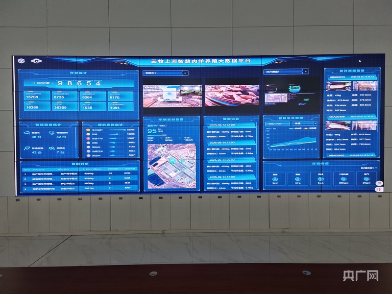 产业振兴·园区先行丨榆林市榆阳区科技赋能绘就“羊经济”新图景(图2)