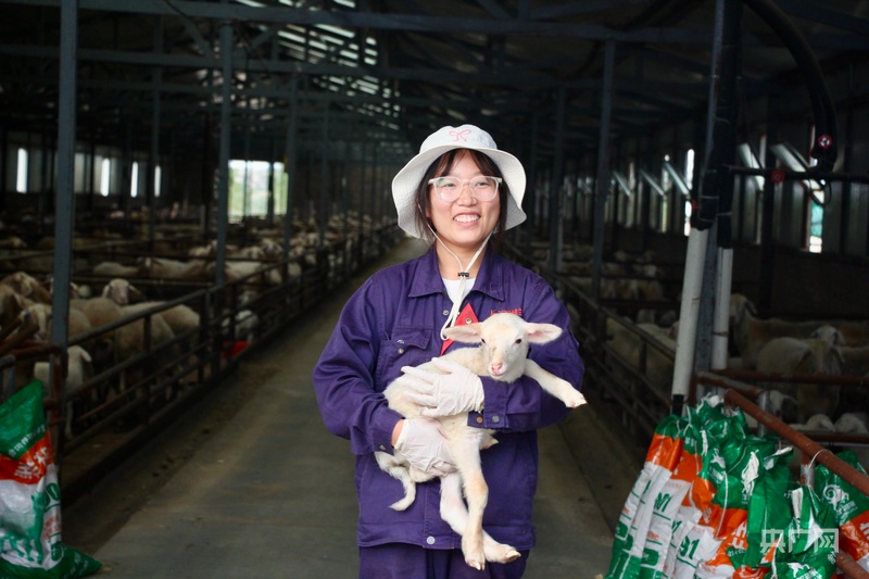 产业振兴·园区先行丨榆林市榆阳区科技赋能绘就“羊经济”新图景(图4)