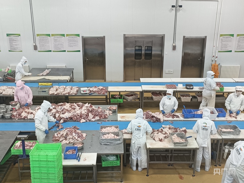 产业振兴·园区先行丨榆林市榆阳区科技赋能绘就“羊经济”新图景(图3)