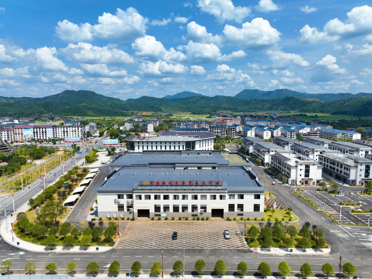 靖州：以“苓”为媒兴产业千年珍馐启新程(图1)