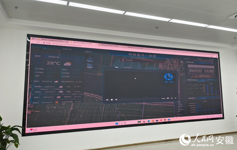 5年这样打开宿州②｜“慧”种田科技开良方(图2)