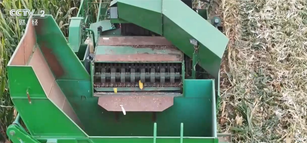 沃野金黄、瓜果飘香、渔获满仓铺展喜人“丰”景“科技+”让农业向“智”而行(图2)