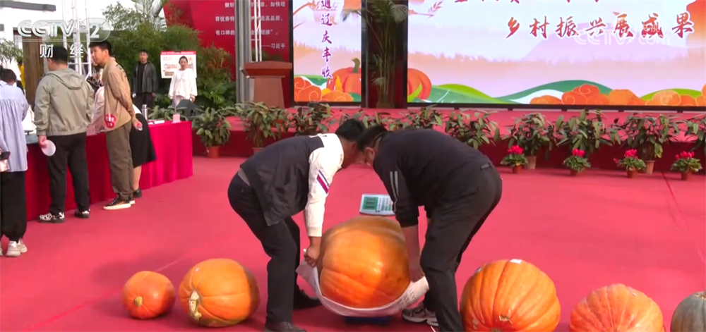 沃野金黄、瓜果飘香、渔获满仓铺展喜人“丰”景“科技+”让农业向“智”而行(图4)