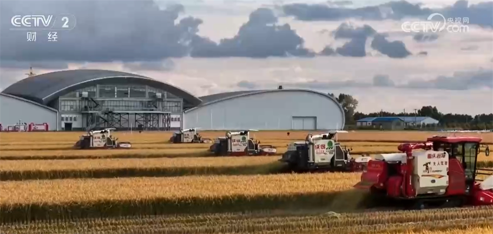 沃野金黄、瓜果飘香、渔获满仓铺展喜人“丰”景“科技+”让农业向“智”而行(图10)