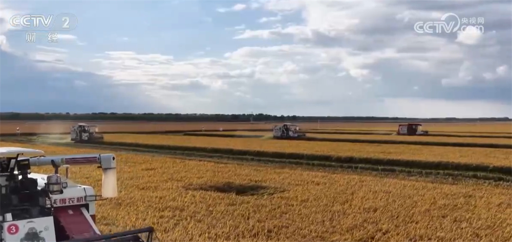 沃野金黄、瓜果飘香、渔获满仓铺展喜人“丰”景“科技+”让农业向“智”而行(图13)