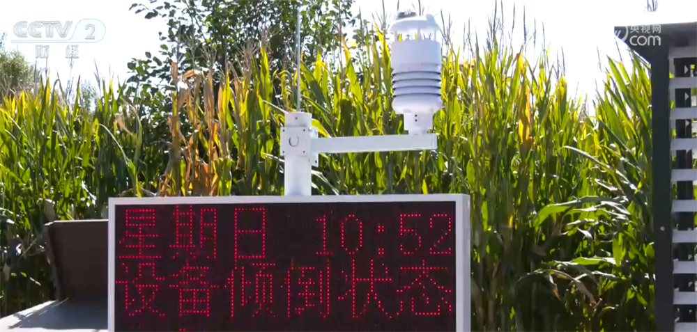 沃野金黄、瓜果飘香、渔获满仓铺展喜人“丰”景“科技+”让农业向“智”而行(图9)