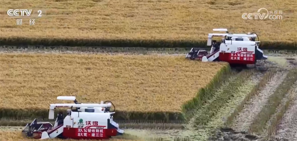 沃野金黄、瓜果飘香、渔获满仓铺展喜人“丰”景“科技+”让农业向“智”而行(图12)