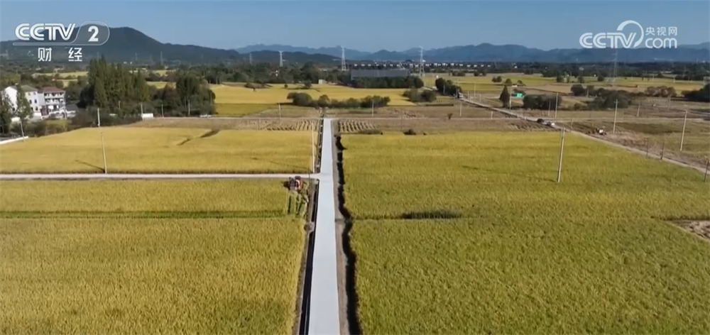 沃野金黄、瓜果飘香、渔获满仓铺展喜人“丰”景“科技+”让农业向“智”而行(图14)