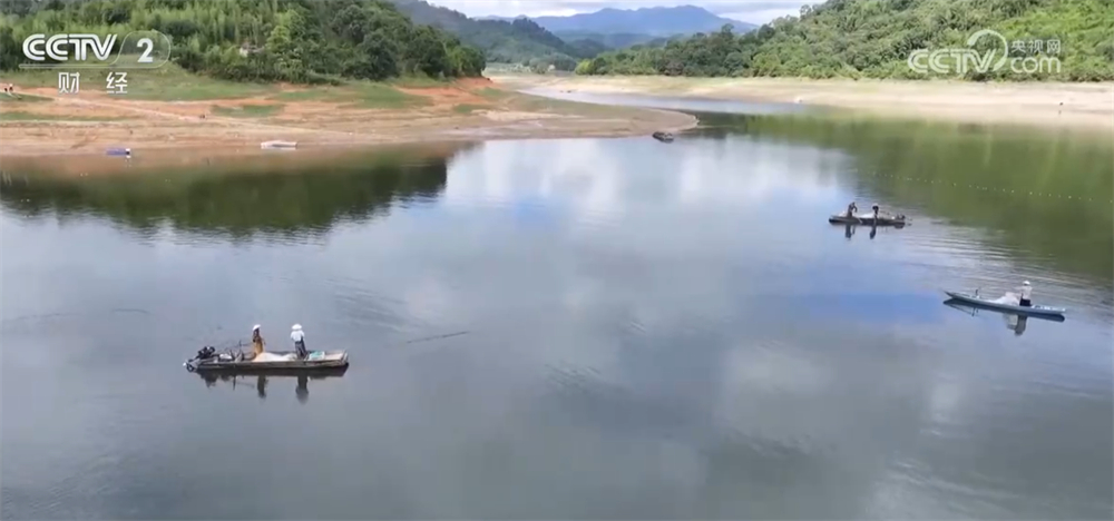 沃野金黄、瓜果飘香、渔获满仓铺展喜人“丰”景“科技+”让农业向“智”而行(图20)