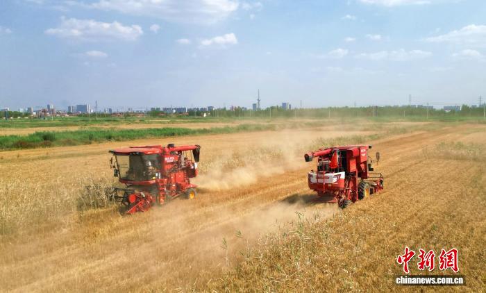 安博体育平台：从“靠天吃饭”到筑牢“齐鲁粮仓”山东用“芯”端稳饭碗(图1)