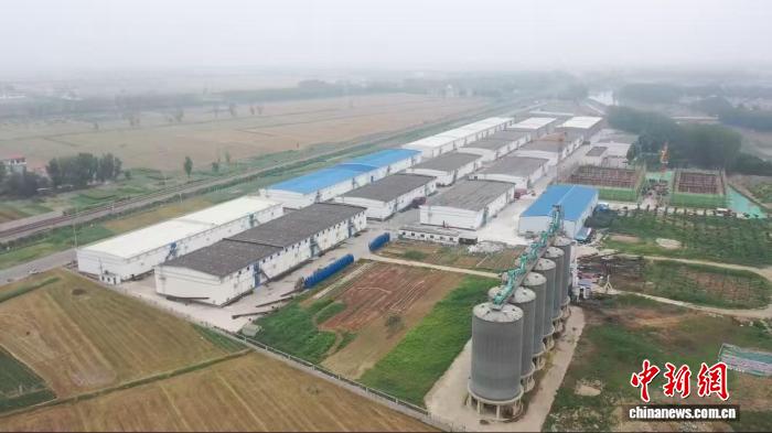 安博体育平台：从“靠天吃饭”到筑牢“齐鲁粮仓”山东用“芯”端稳饭碗(图3)