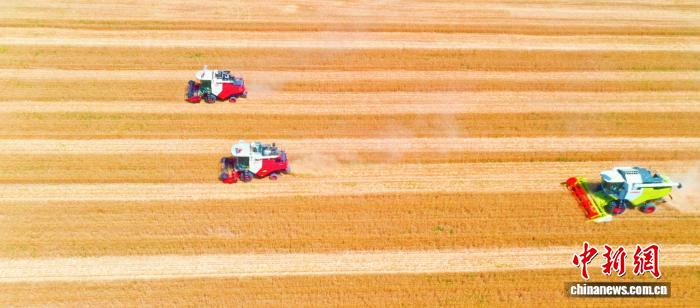 安博体育平台：从“靠天吃饭”到筑牢“齐鲁粮仓”山东用“芯”端稳饭碗(图2)