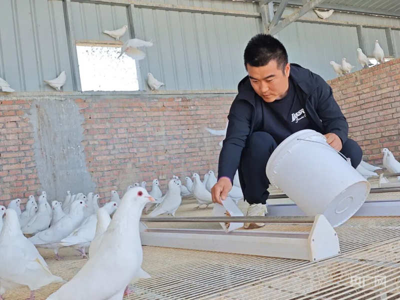 绘就“三农”新画卷奏响乡村振兴丰收曲(图2)