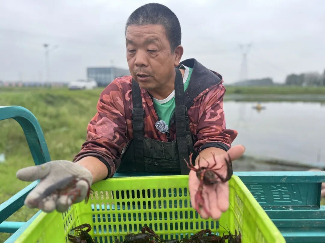 潜江正点亮科技之光(图2)