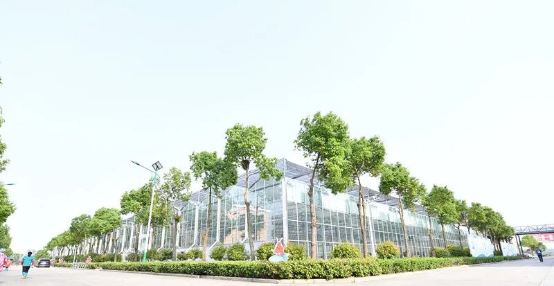 潜江正点亮科技之光(图4)
