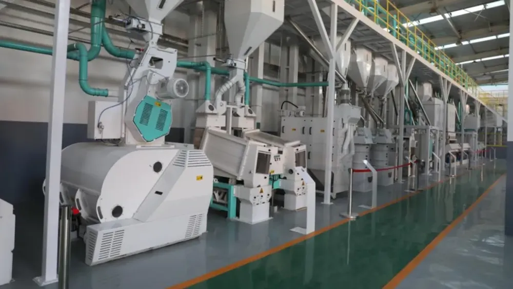 “农”墨重彩促振兴津沽大地绘新卷(图2)