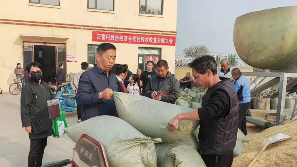 “农”墨重彩促振兴津沽大地绘新卷(图6)