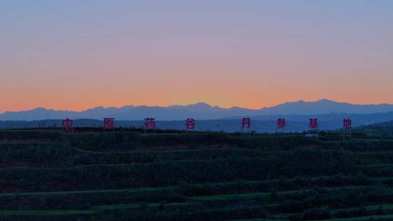 “移”起向新数智兴农数字扎根千年药谷中国移动激活洛阳丹参产业“新引擎”(图5)