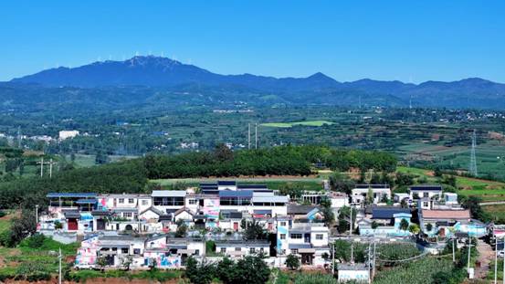 “移”起向新数智兴农数字扎根千年药谷中国移动激活洛阳丹参产业“新引擎”(图9)