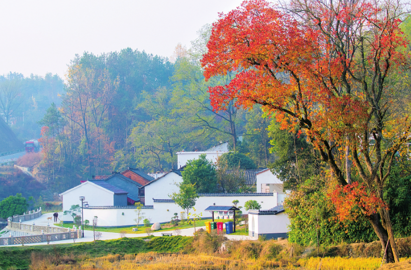 【潮涌大别山决胜“十四五”】田园新变——信阳市“十四五”高质量发展观察之三(图3)