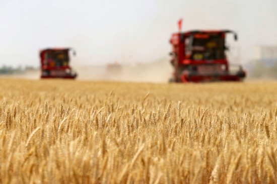 镜观中国｜良田舒卷！夯牢中国饭碗新底气(图6)